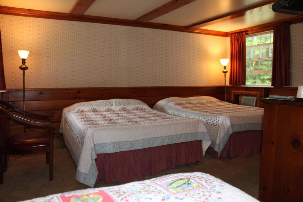 White Trellis Motel North Conway Quarto foto