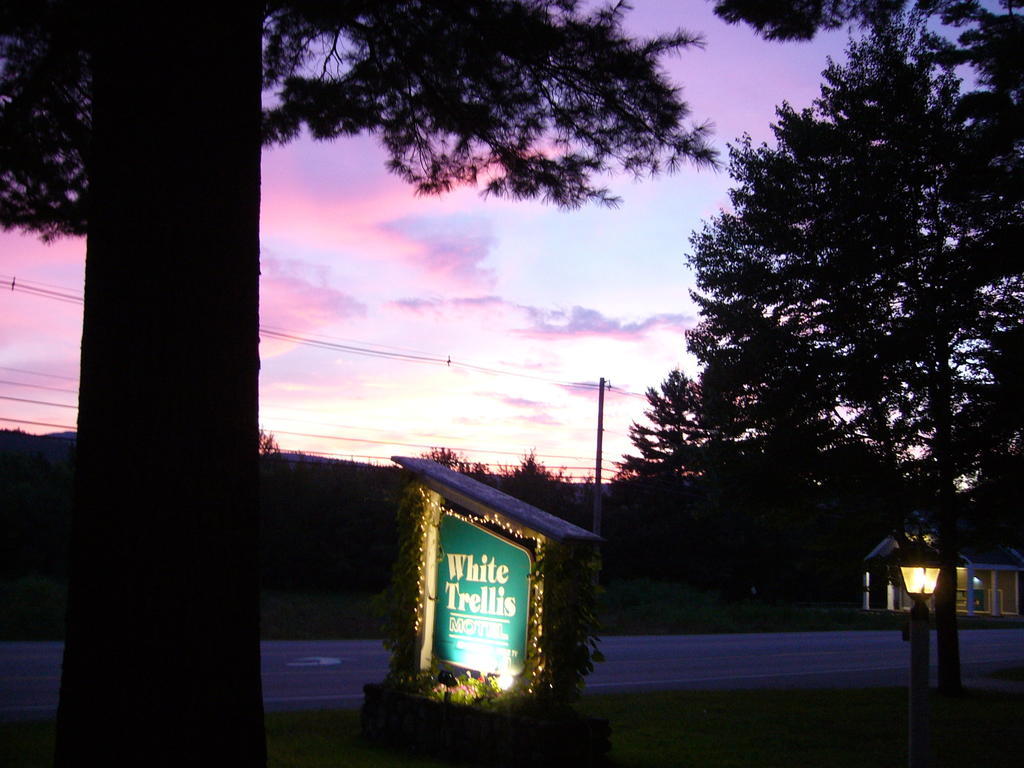 White Trellis Motel North Conway Exterior foto